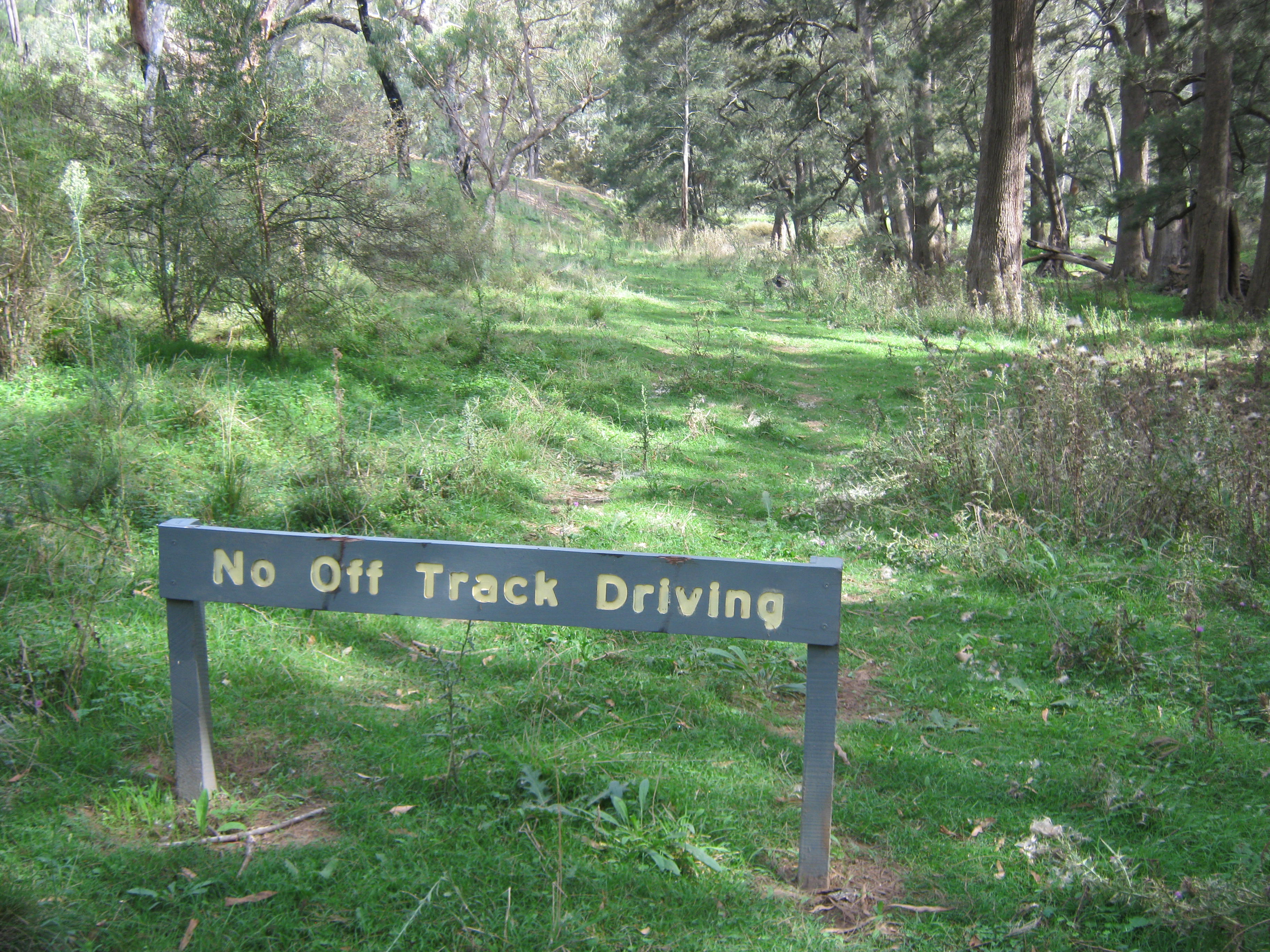 Around the Campsite - After 2/2